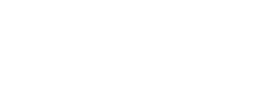 iDenfy logo